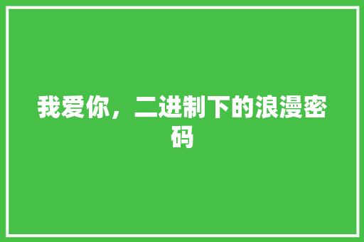 我爱你，二进制下的浪漫密码 SEO关键词