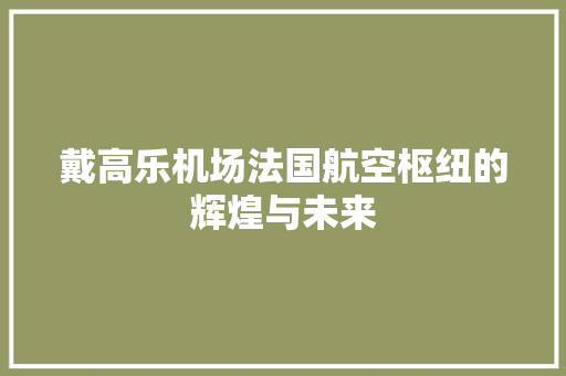 戴高乐机场法国航空枢纽的辉煌与未来 SEO关键词
