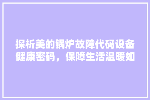 探析美的锅炉故障代码设备健康密码，保障生活温暖如春 必应SEO
