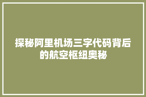 探秘阿里机场三字代码背后的航空枢纽奥秘 搜狗SEO