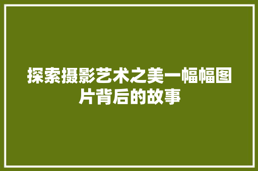 探索摄影艺术之美一幅幅图片背后的故事 SEO关键词