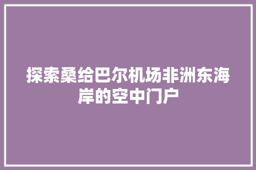 探索桑给巴尔机场非洲东海岸的空中门户 SEO关键词