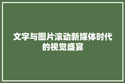 文字与图片滚动新媒体时代的视觉盛宴
