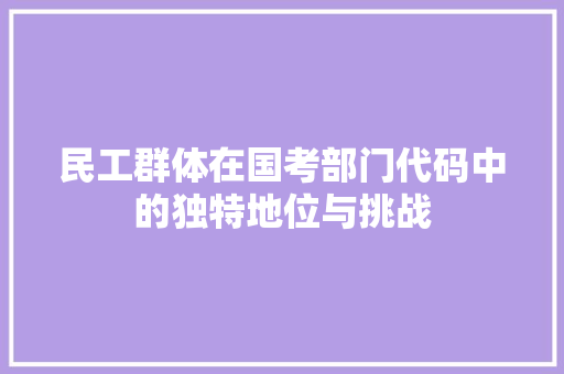 民工群体在国考部门代码中的独特地位与挑战