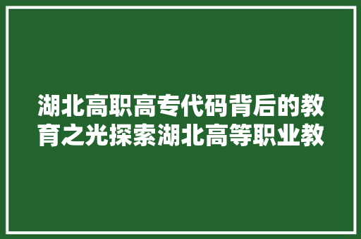 湖北高职高专代码背后的教育之光探索湖北高等职业教育发展之路 搜狗SEO