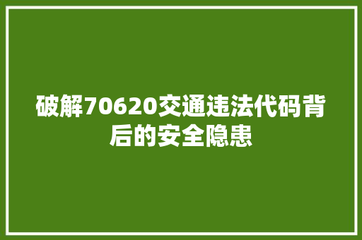 破解70620交通违法代码背后的安全隐患 网站建设公司