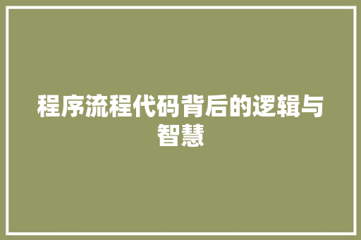 程序流程代码背后的逻辑与智慧 SEO关键词