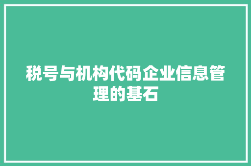 税号与机构代码企业信息管理的基石 网站建设公司