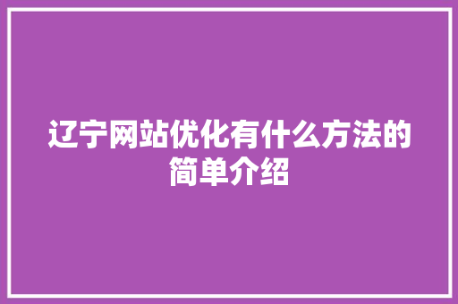 辽宁网站优化有什么方法的简单介绍