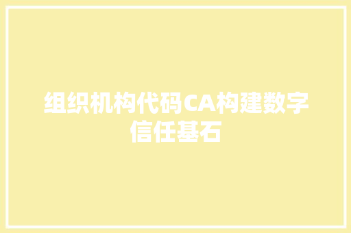 组织机构代码CA构建数字信任基石 必应SEO