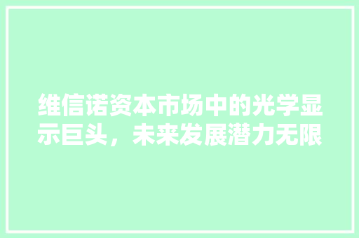 维信诺资本市场中的光学显示巨头，未来发展潜力无限 百度SEO