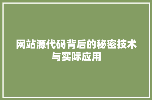 网站源代码背后的秘密技术与实际应用 百度SEO