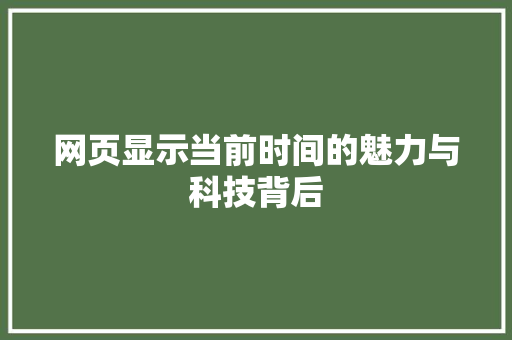 网页显示当前时间的魅力与科技背后