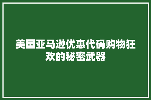 美国亚马逊优惠代码购物狂欢的秘密武器 百度SEO