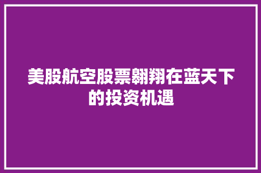 美股航空股票翱翔在蓝天下的投资机遇 SEO关键词