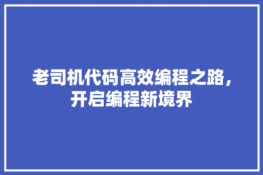 老司机代码高效编程之路，开启编程新境界 百度SEO