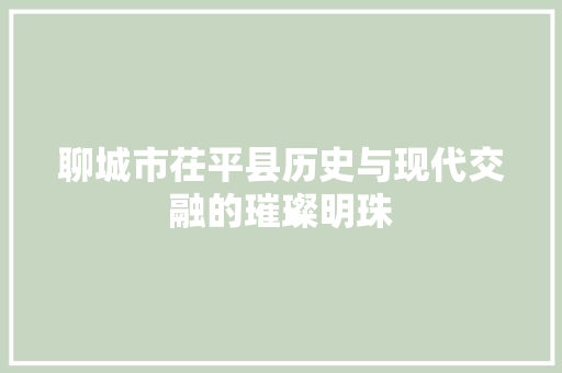 聊城市茌平县历史与现代交融的璀璨明珠 网站建设公司