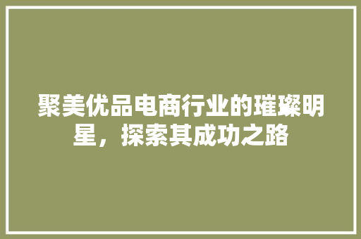 聚美优品电商行业的璀璨明星，探索其成功之路 搜狗SEO