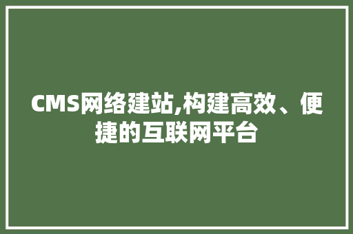 CMS网络建站,构建高效、便捷的互联网平台 百度SEO