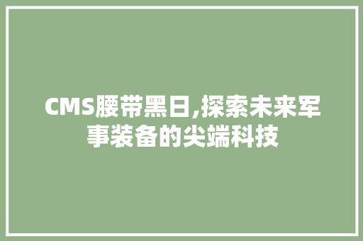CMS腰带黑日,探索未来军事装备的尖端科技