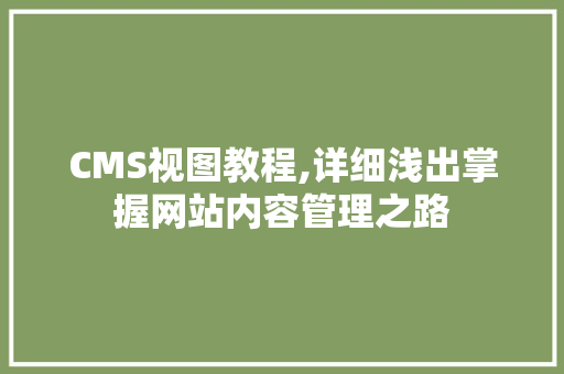 CMS视图教程,详细浅出掌握网站内容管理之路 网站建设公司