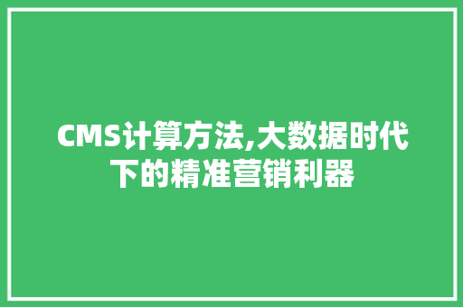 CMS计算方法,大数据时代下的精准营销利器 SEO关键词