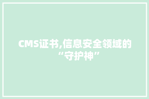 CMS证书,信息安全领域的“守护神” SEO关键词