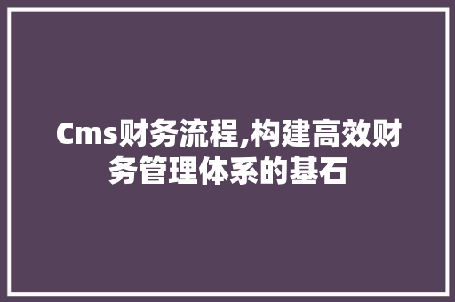 Cms财务流程,构建高效财务管理体系的基石