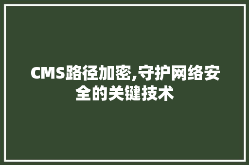CMS路径加密,守护网络安全的关键技术 百度SEO