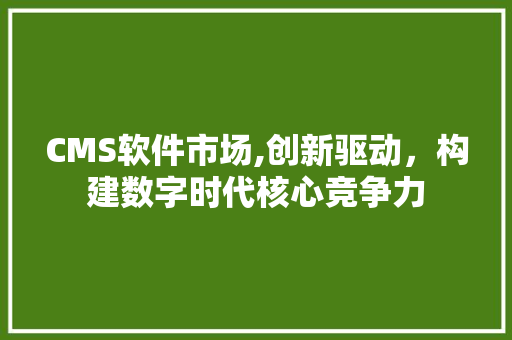 CMS软件市场,创新驱动，构建数字时代核心竞争力 神马SEO