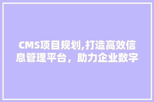 CMS项目规划,打造高效信息管理平台，助力企业数字化转型 神马SEO