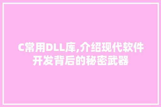 C常用DLL库,介绍现代软件开发背后的秘密武器 网站建设公司