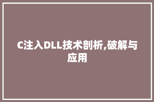 C注入DLL技术剖析,破解与应用 SEO关键词