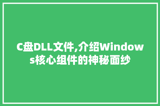 C盘DLL文件,介绍Windows核心组件的神秘面纱 网站建设公司