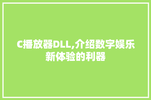 C播放器DLL,介绍数字娱乐新体验的利器 网站建设公司
