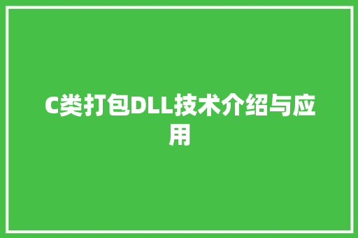 C类打包DLL技术介绍与应用 百度SEO