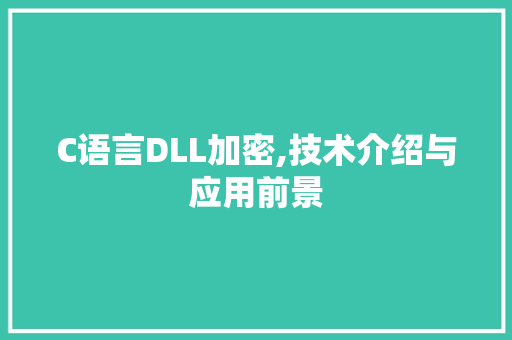 C语言DLL加密,技术介绍与应用前景 网站建设公司