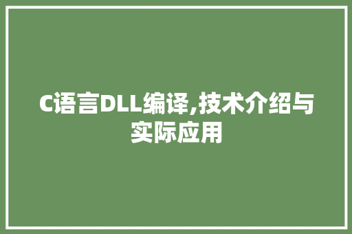 C语言DLL编译,技术介绍与实际应用 搜狗SEO
