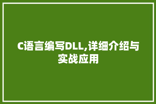C语言编写DLL,详细介绍与实战应用 必应SEO C语言编写DLL,详细介绍与实战应用 必应SEO
