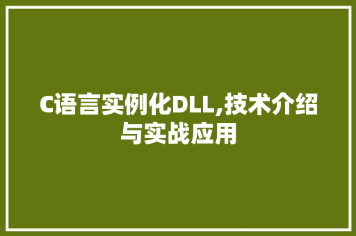 C语言实例化DLL,技术介绍与实战应用 神马SEO