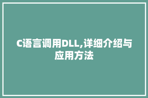 C语言调用DLL,详细介绍与应用方法 SEO关键词