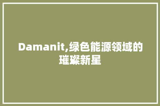 Damanit,绿色能源领域的璀璨新星 网站建设公司