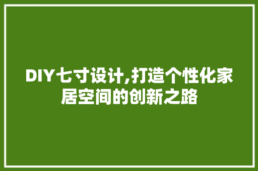 DIY七寸设计,打造个性化家居空间的创新之路 SEO关键词