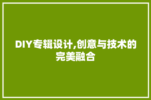 DIY专辑设计,创意与技术的完美融合 神马SEO