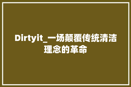 Dirtyit_一场颠覆传统清洁理念的革命 必应SEO