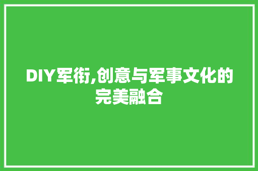DIY军衔,创意与军事文化的完美融合 必应SEO