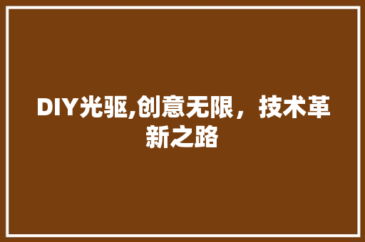 DIY光驱,创意无限，技术革新之路 神马SEO