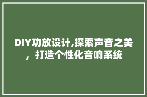 DIY功放设计,探索声音之美，打造个性化音响系统