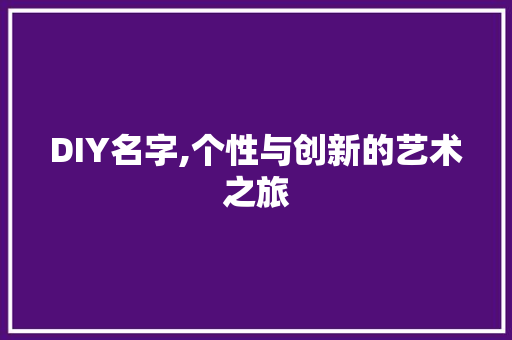 DIY名字,个性与创新的艺术之旅