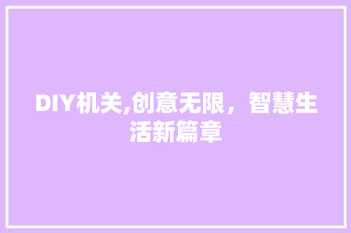 DIY机关,创意无限，智慧生活新篇章 神马SEO